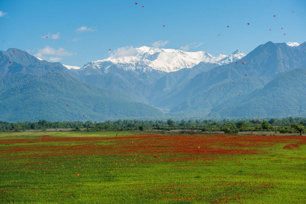 Gabala